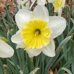 Meet your Posher, Robin